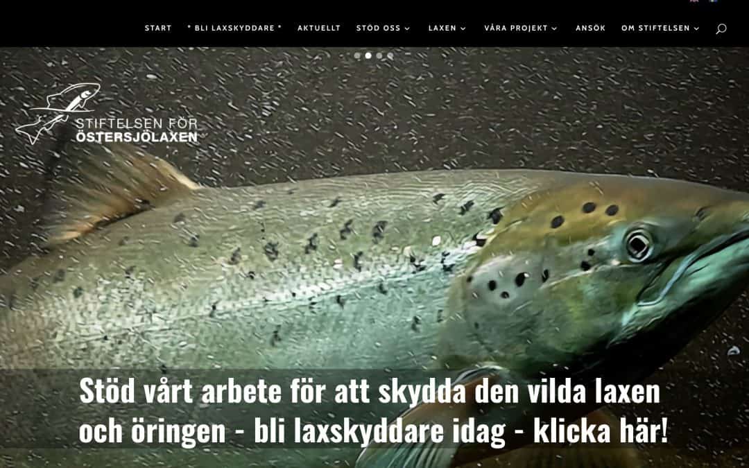 Stiftelsen för Östersjölaxen