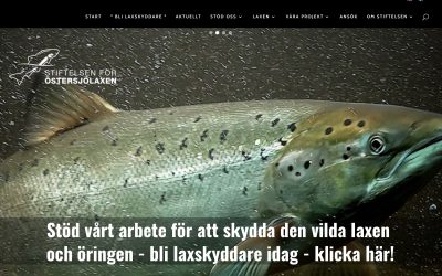 Stiftelsen för Östersjölaxen