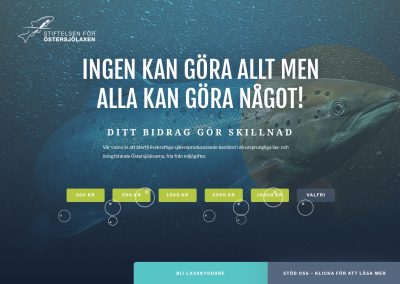 Stiftelsen för Östersjölaxen